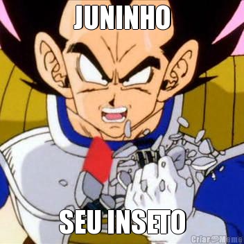 JUNINHO SEU INSETO