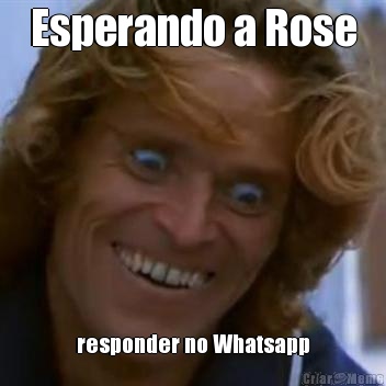 Esperando a Rose responder no Whatsapp