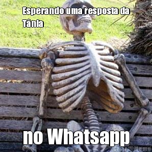 Esperando uma resposta da
Tnia no Whatsapp