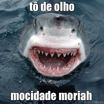 t de olho mocidade moriah 