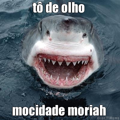 t de olho  mocidade moriah 