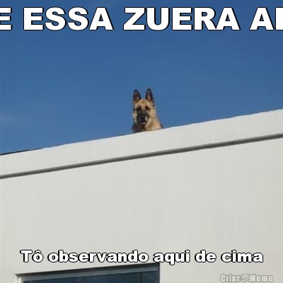 E ESSA ZUERA AE T observando aqui de cima