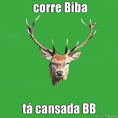  corre Biba t cansada BB