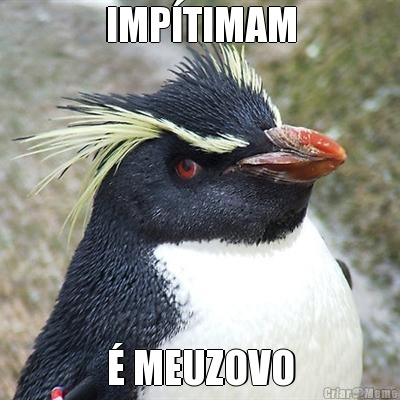 IMPTIMAM  MEUZOVO