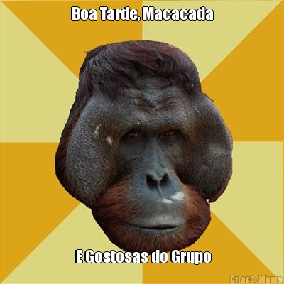 Boa Tarde, Macacada  E Gostosas do Grupo