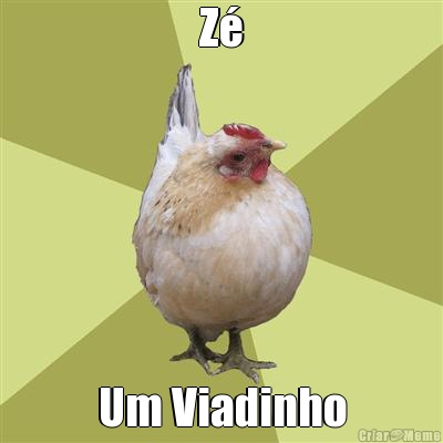 Z Um Viadinho