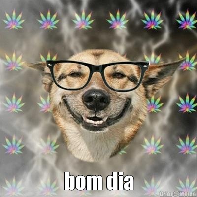  bom dia