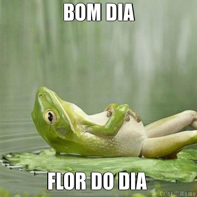 BOM DIA FLOR DO DIA 