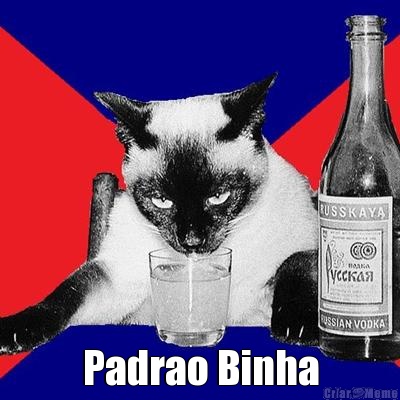  Padrao Binha