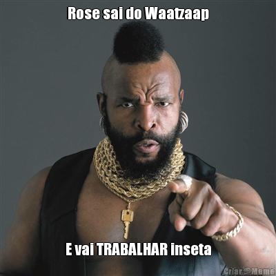 Rose sai do Waatzaap E vai TRABALHAR inseta