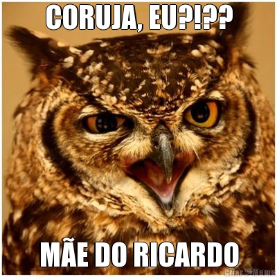 CORUJA, EU?!?? ME DO RICARDO