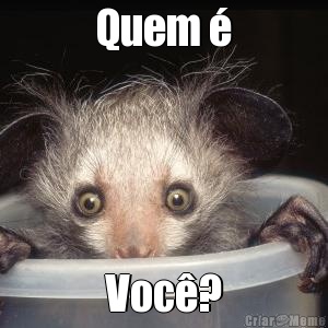 Quem  Voc?