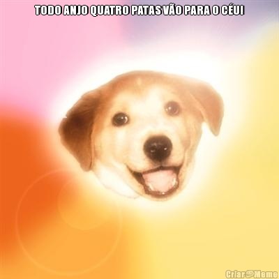 TODO ANJO QUATRO PATAS VO PARA O CU! 