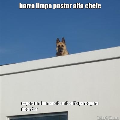 barra limpa pastor alfa chefe espera um humano bem bonito pare agora
de andar