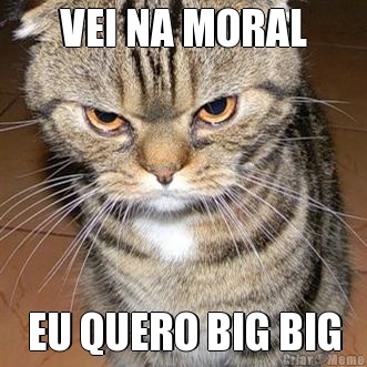 VEI NA MORAL EU QUERO BIG BIG