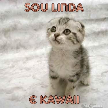 sou linda e kawaii