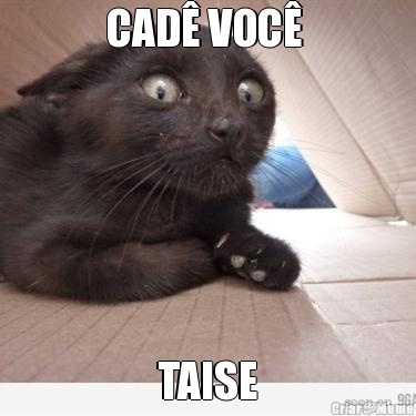 CAD VOC  TAISE