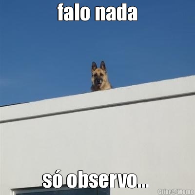 falo nada s observo... 