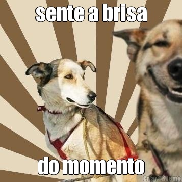 sente a brisa do momento