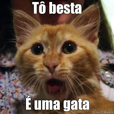 T besta  uma gata