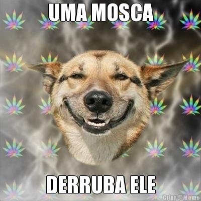 UMA MOSCA DERRUBA ELE