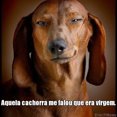  Aquela cachorra me falou que era virgem.