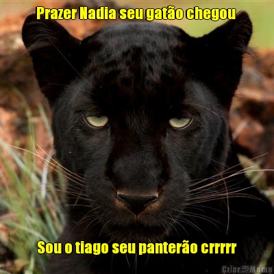 Prazer Nadia seu gato chegou  Sou o tiago seu pantero crrrrr