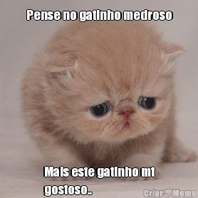 Pense no gatinho medroso Mais este gatinho mt
gostoso..