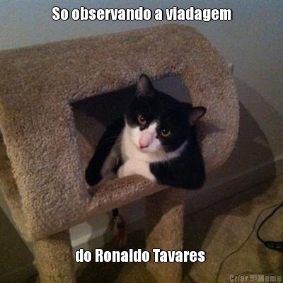 So observando a viadagem do Ronaldo Tavares 