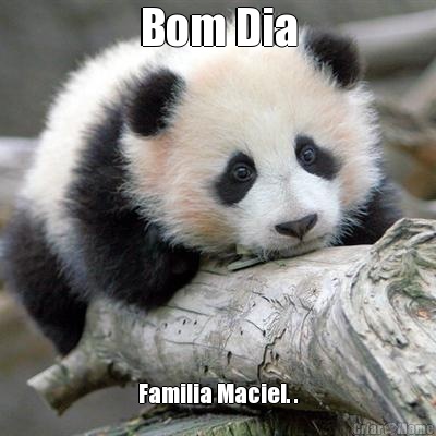 Bom Dia Familia Maciel. .