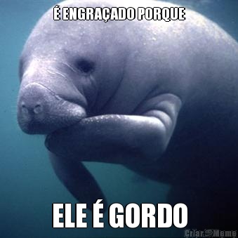  ENGRAADO PORQUE ELE  GORDO