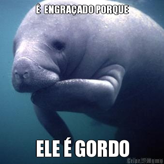   ENGRAADO PORQUE ELE  GORDO