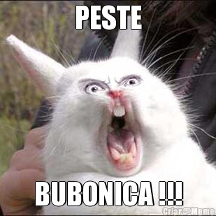 PESTE BUBONICA !!!