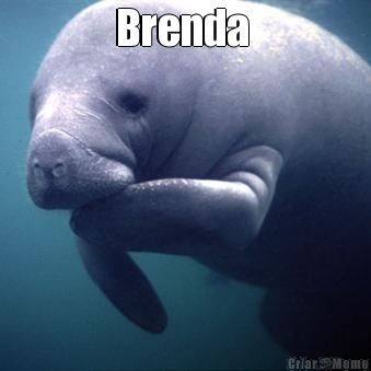 Brenda  