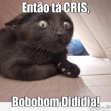 Ento t CRIS, Bobobom Dididia!
