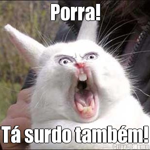 Porra! T surdo tambm!