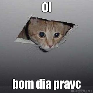 OI bom dia pravc