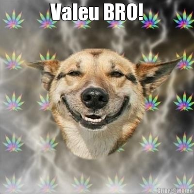 Valeu BRO! 