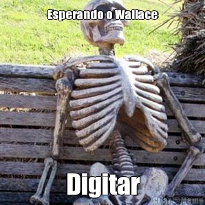 Esperando o Wallace Digitar