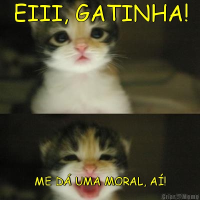 EIII, GATINHA! ME D UMA MORAL, A!