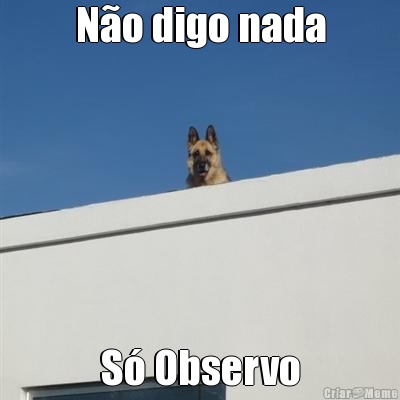 No digo nada S Observo