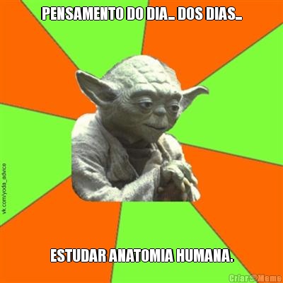 PENSAMENTO DO DIA... DOS DIAS... ESTUDAR ANATOMIA HUMANA.