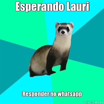 Esperando Lauri Responder no whatsapp