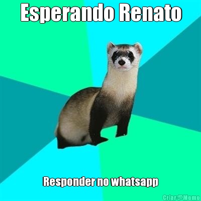 Esperando Renato Responder no whatsapp