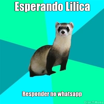 Esperando Lilica Responder no whatsapp