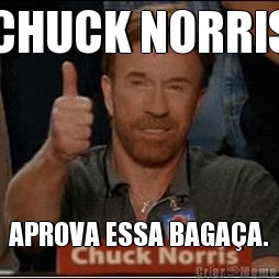 CHUCK NORRIS APROVA ESSA BAGAA.