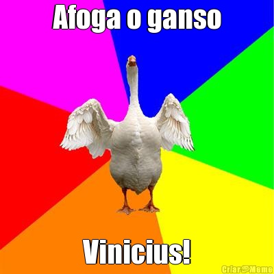 Afoga o ganso Vinicius!