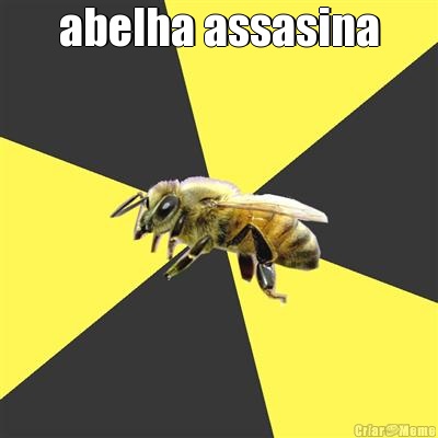 abelha assasina 