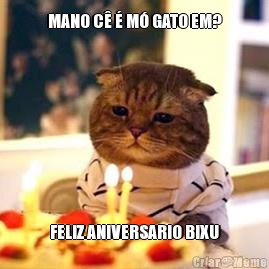 MANO C  M GATO EM? FELIZ ANIVERSARIO BIXU