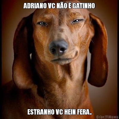 ADRIANO VC NO  GATINHO ESTRANHO VC HEIN FERA..